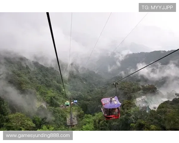 快速访问吉隆坡云顶世界官方网站入口获取最新优惠和活动信息