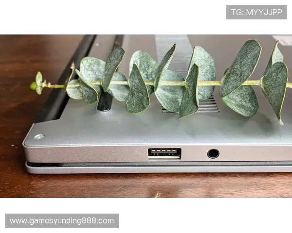 4008云顶官网多平台同步登录支持手机电脑多设备无缝切换体验