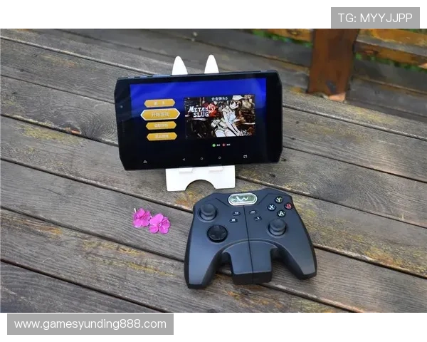 PP游戏官网最新版本下载与安装指南帮助玩家轻松畅玩游戏